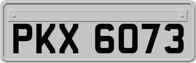 PKX6073