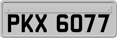 PKX6077