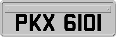 PKX6101