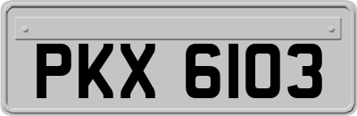 PKX6103