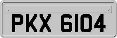 PKX6104