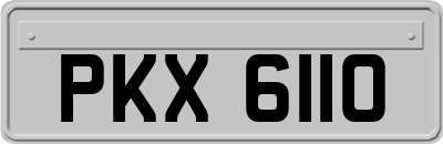 PKX6110