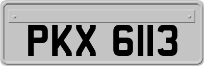 PKX6113