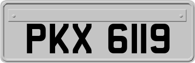PKX6119