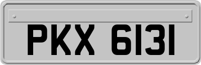 PKX6131