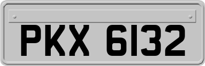 PKX6132