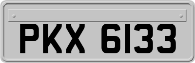 PKX6133