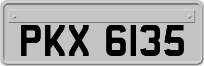 PKX6135