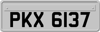 PKX6137