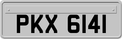 PKX6141