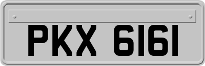 PKX6161