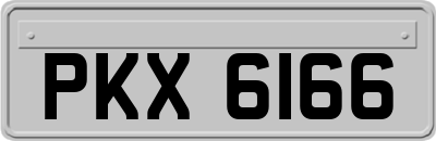 PKX6166