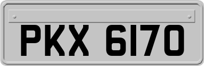 PKX6170