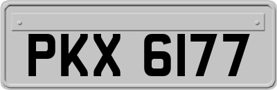 PKX6177