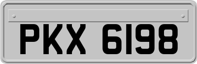 PKX6198