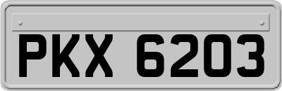 PKX6203