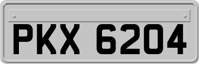 PKX6204
