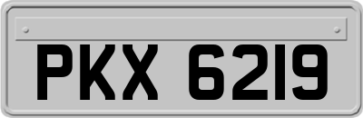 PKX6219