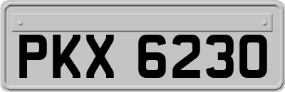 PKX6230