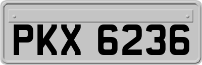 PKX6236