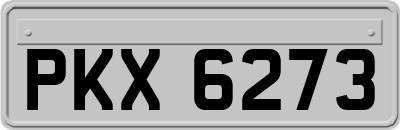 PKX6273