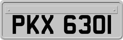 PKX6301