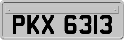 PKX6313
