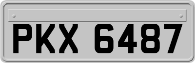 PKX6487