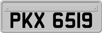 PKX6519