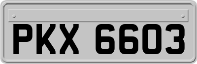 PKX6603