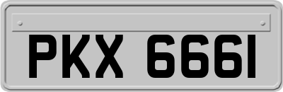 PKX6661