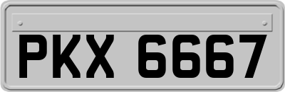 PKX6667