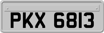 PKX6813