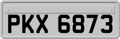 PKX6873