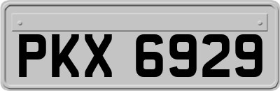 PKX6929