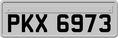 PKX6973