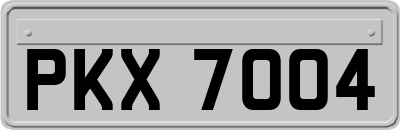 PKX7004