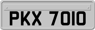 PKX7010