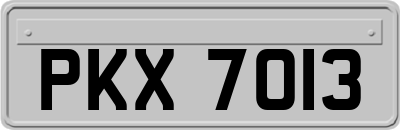 PKX7013