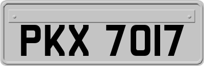 PKX7017