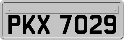 PKX7029