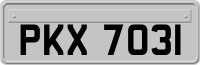 PKX7031