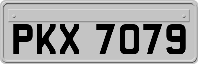 PKX7079