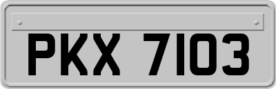 PKX7103