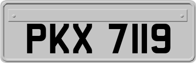 PKX7119