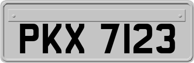 PKX7123