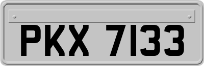 PKX7133