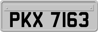 PKX7163