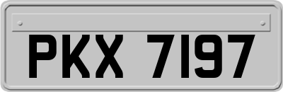 PKX7197