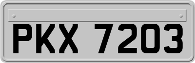 PKX7203